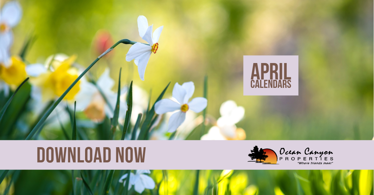 April ’24 Activity Calendars