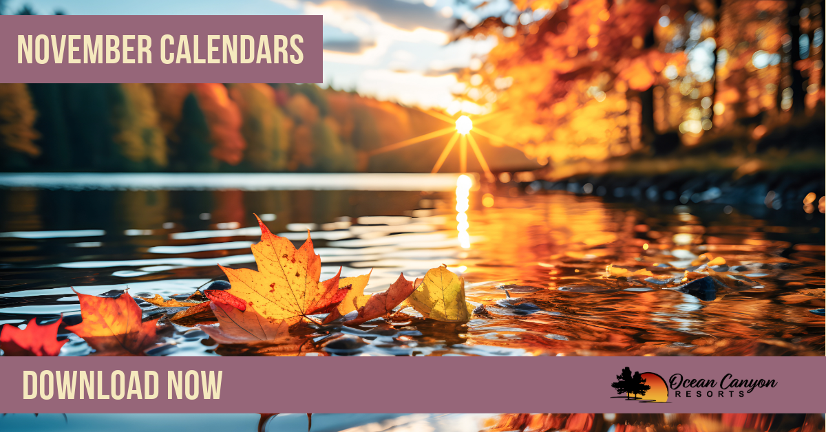 November 2024 Activity Calendars