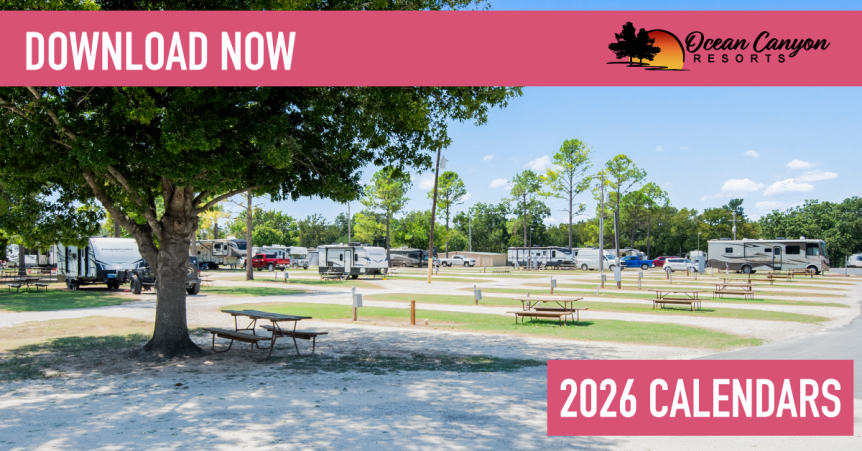 Download the 2026 activities calendar!